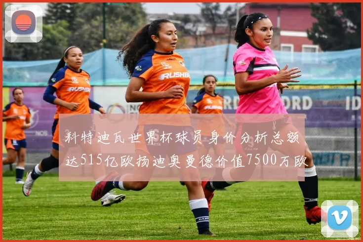 科特迪瓦世界杯球员身价分析总额达515亿欧扬迪奥曼德价值7500万欧